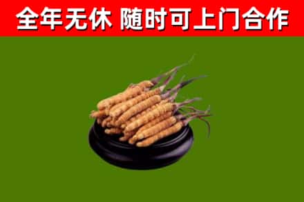 汝城烟酒回收冬虫夏草.jpg